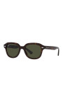 lunettes-de-soleil-classiques-erik-pour-icones-de-style