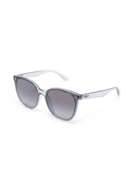 rb4423d-6592t3-sunglasses