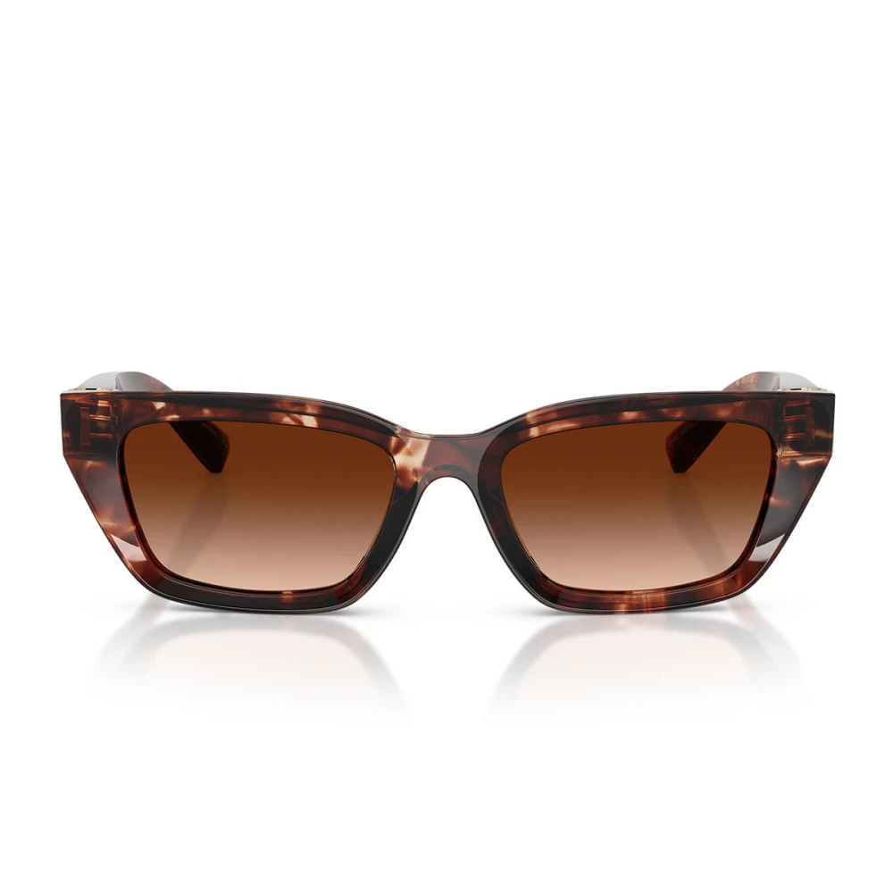 Dolce & Gabbana Unisex Marrone Dg4532 Sunglasses