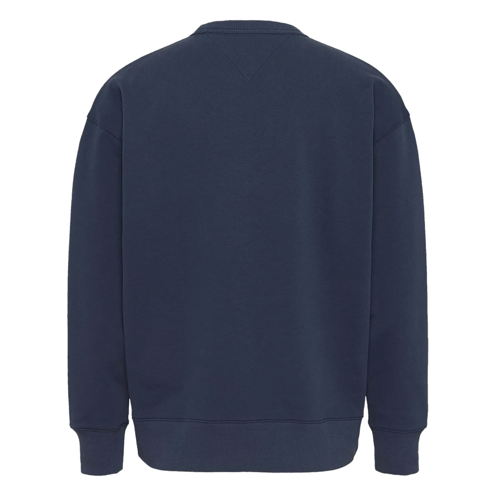 Tommy Jeans Hoodie Blue Heren
