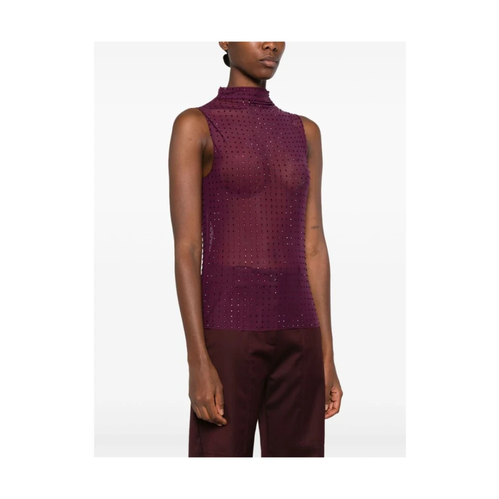 pinko Pruim Paarse Tule Strass Sweater Purple Dames