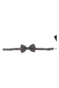 papillon-en-soie-reglable