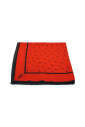pre-owned-soie-foulards