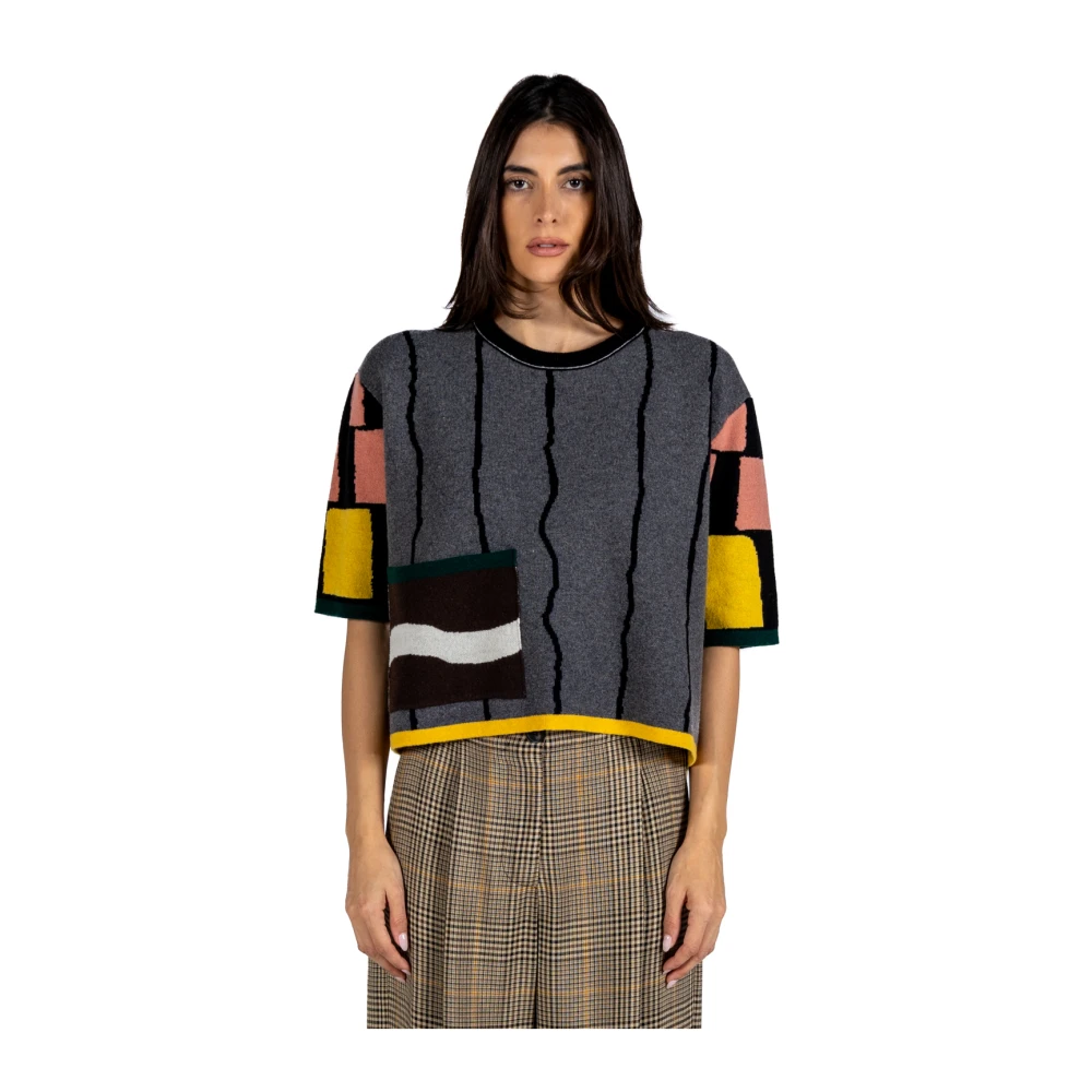 Phisique du Role Multicolor Jacquard Gebreide Trui Multicolor Dames