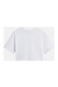 flying-v-crew-crop-t-shirt