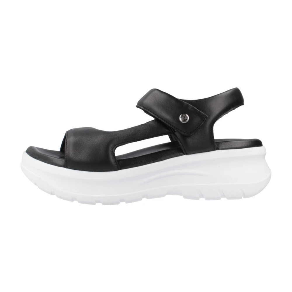 Panama Jack Platta Sandaler med Klibbig Rem Black, Dam