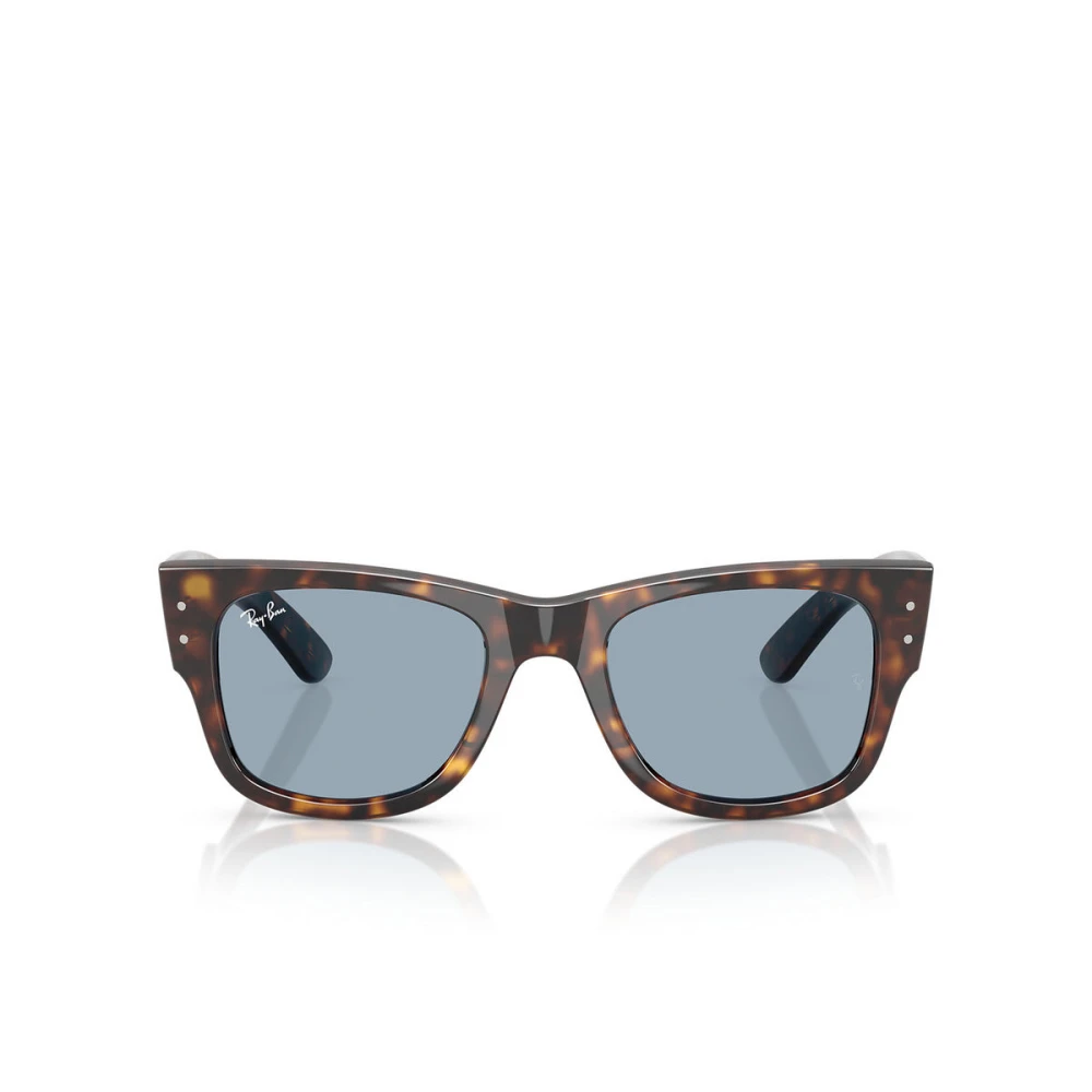 Ray-Ban Unisex Brown Sunglasses, 51 Mm, Stylish Sunglasses With Model 0840S