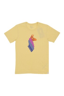 llama-stripes-tee-short-sleeve-t-shirt