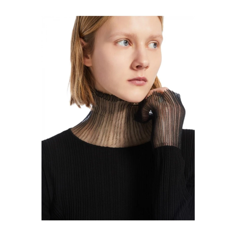 Max Mara Stijlvolle Sweatshirts en Hoodies Black Dames