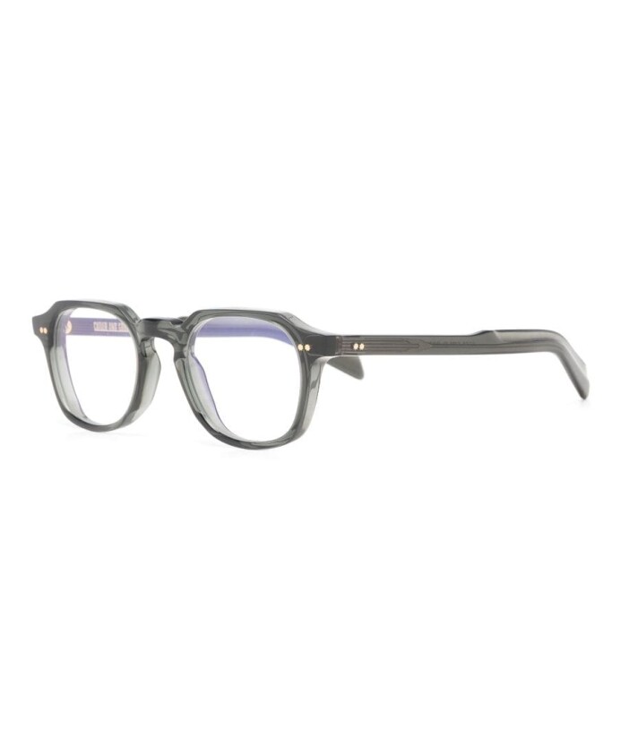 cgopgr03-03-optical-frame