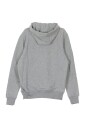 team-logo-hoodie-licht-grijs