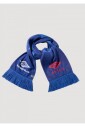 echarpe-rose-bleue