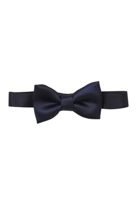 stylish-blue-bow-tie-accessory