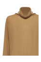 pull-camel
