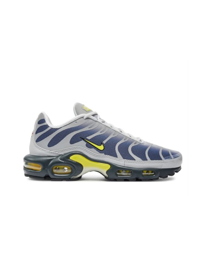 sneakers-air-max-plus-percutantes