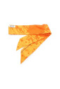 pre-owned-soie-foulards