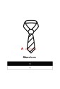 silver-silk-tie-with-embroidery