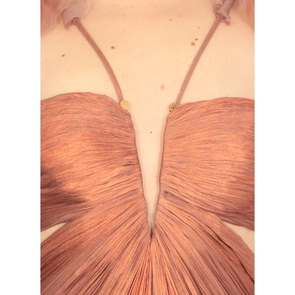 Maria Lucia Hohan Bronzen Zijden Jurk met Ruches Brown Dames