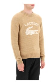 Lacoste Men's Knitwear
