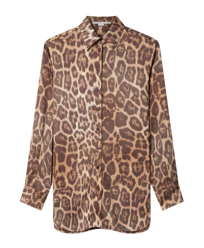 brown-buttoned-shirt-with-pointed-collar