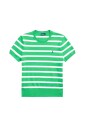 pull-raye-vert