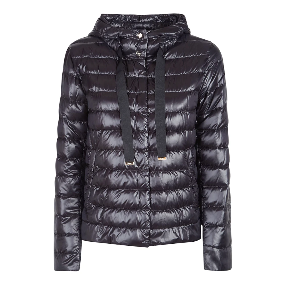 Jackets > Winter Jackets - - Herno - Modalova