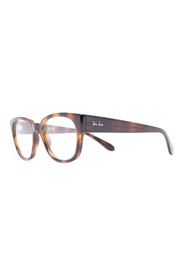 rb7210-2012-optical-frame
