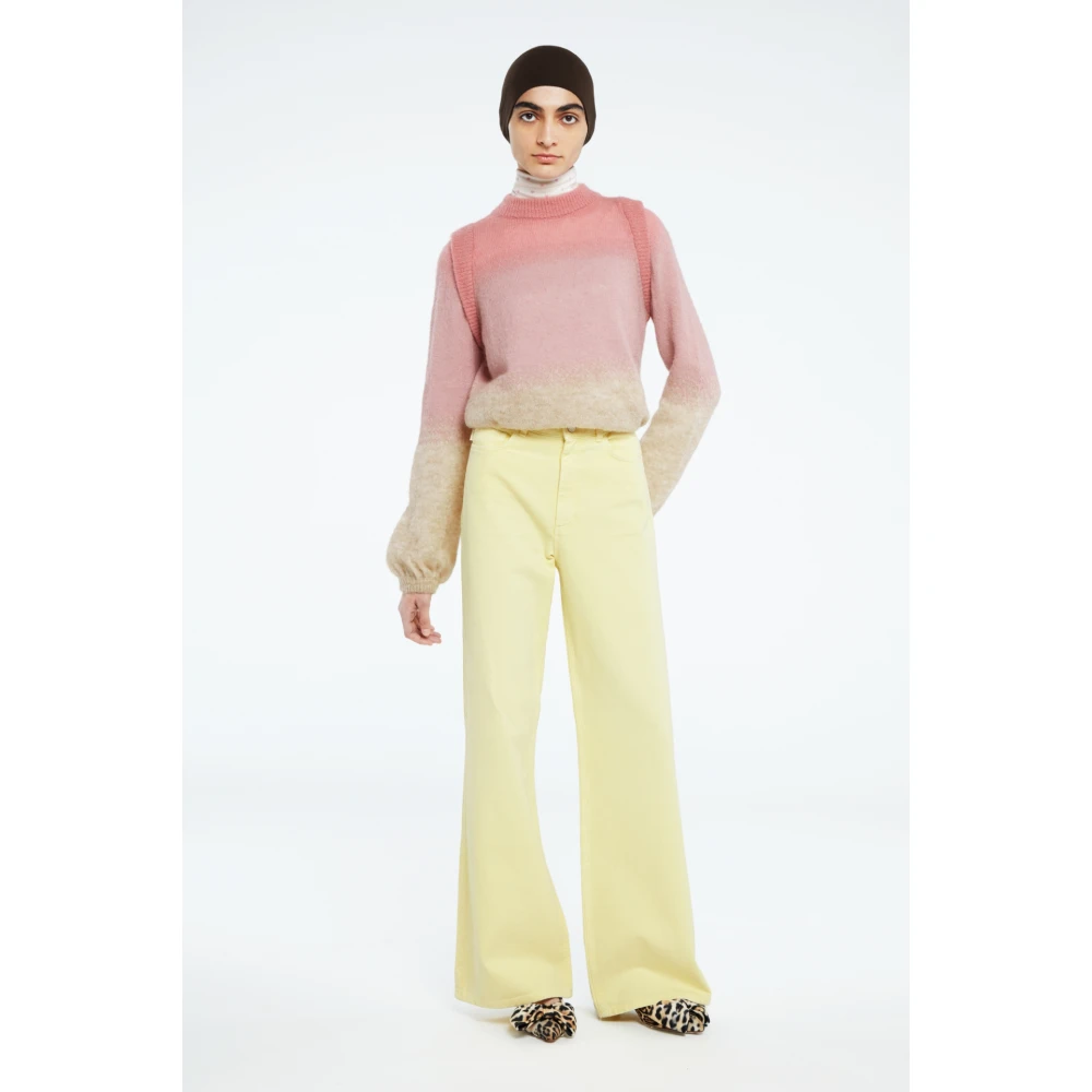 Fabienne Chapot Multicolor pullover met gradient Pink Dames