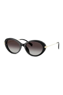 mk2245u-30058g-sunglasses