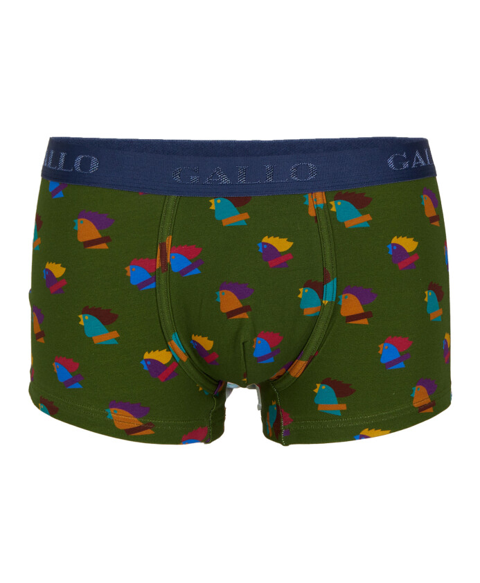 boxers-en-coton-pour-hommes-dans-des-tons-de-vert