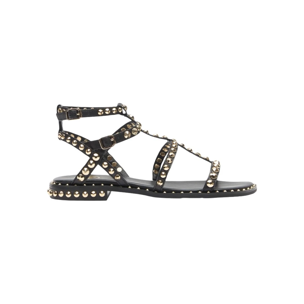 Ash Black Flat Sandals, Female, 7 Uk, Precious Soft Brasil Sandal