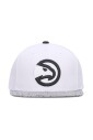 nba-atlanta-hawks-platte-klep-pet