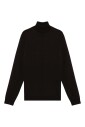 sweater-turtleneck