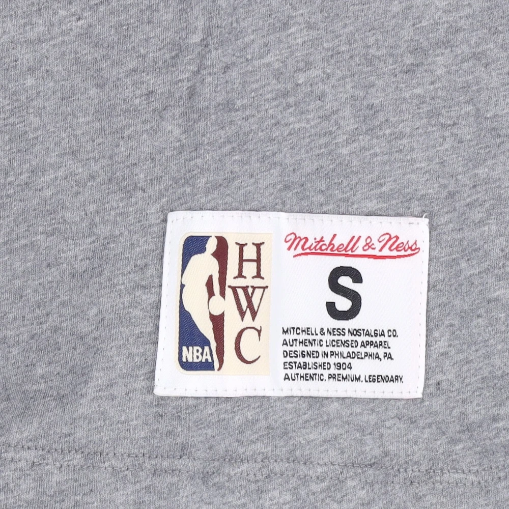 Mitchell & Ness NBA Kleurblokkerend Tee Hardwood Classics Gray Heren