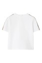 cedre-blanc-modele-elegant-a1464