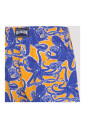 multicolour-swimwear-for-men-ss25