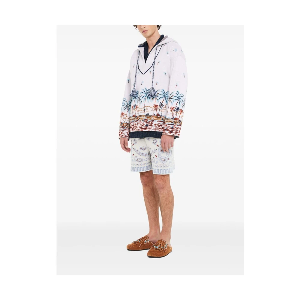 Alanui Off-White Klassieke Hoodie Multicolor Heren