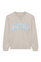 pull-a-col-rond-raye-gris