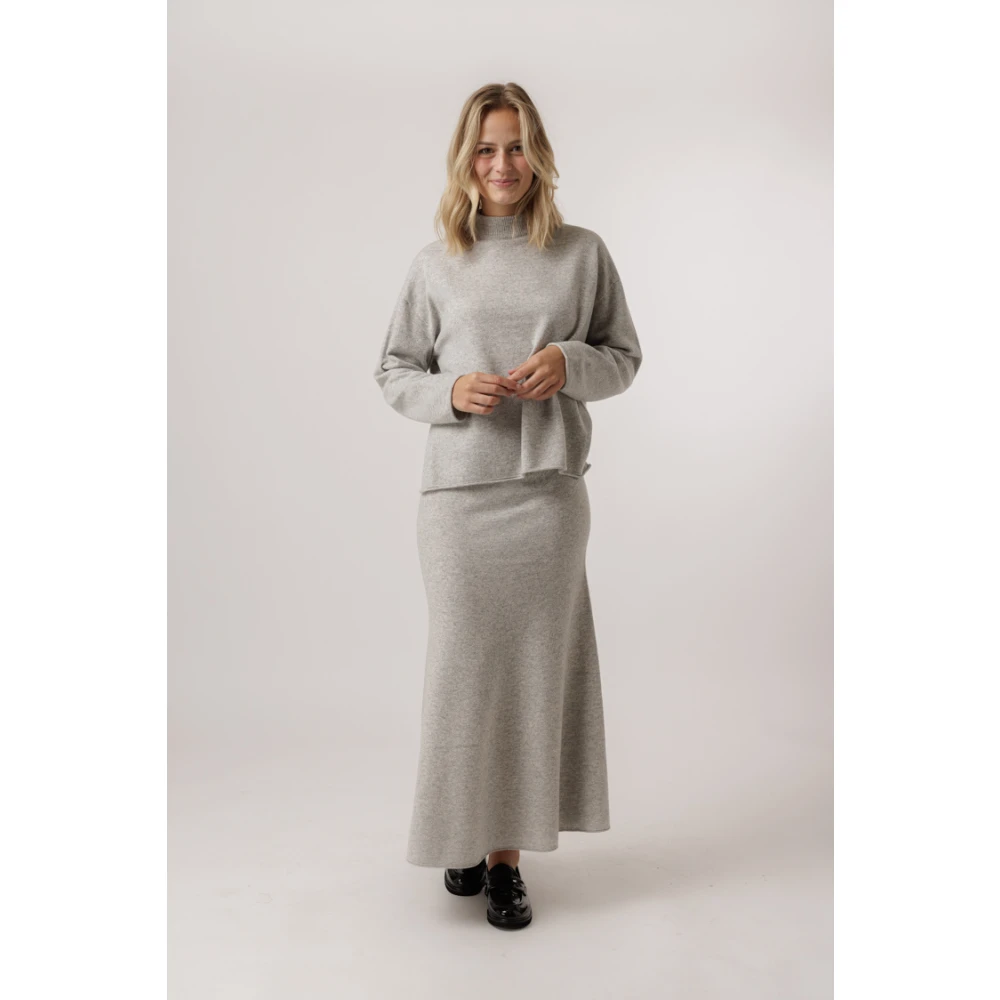 drykorn Grijze Oversized Trui met Hoge Hals Gray Dames