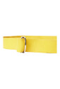 ceinture-a-bande-logo-one-life-one-planet