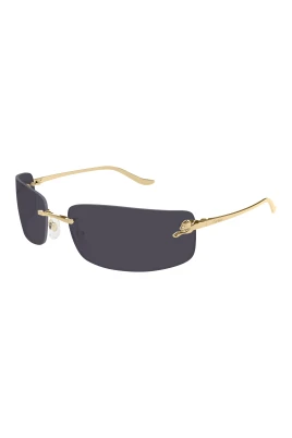CT0503S 001 Sunglasses