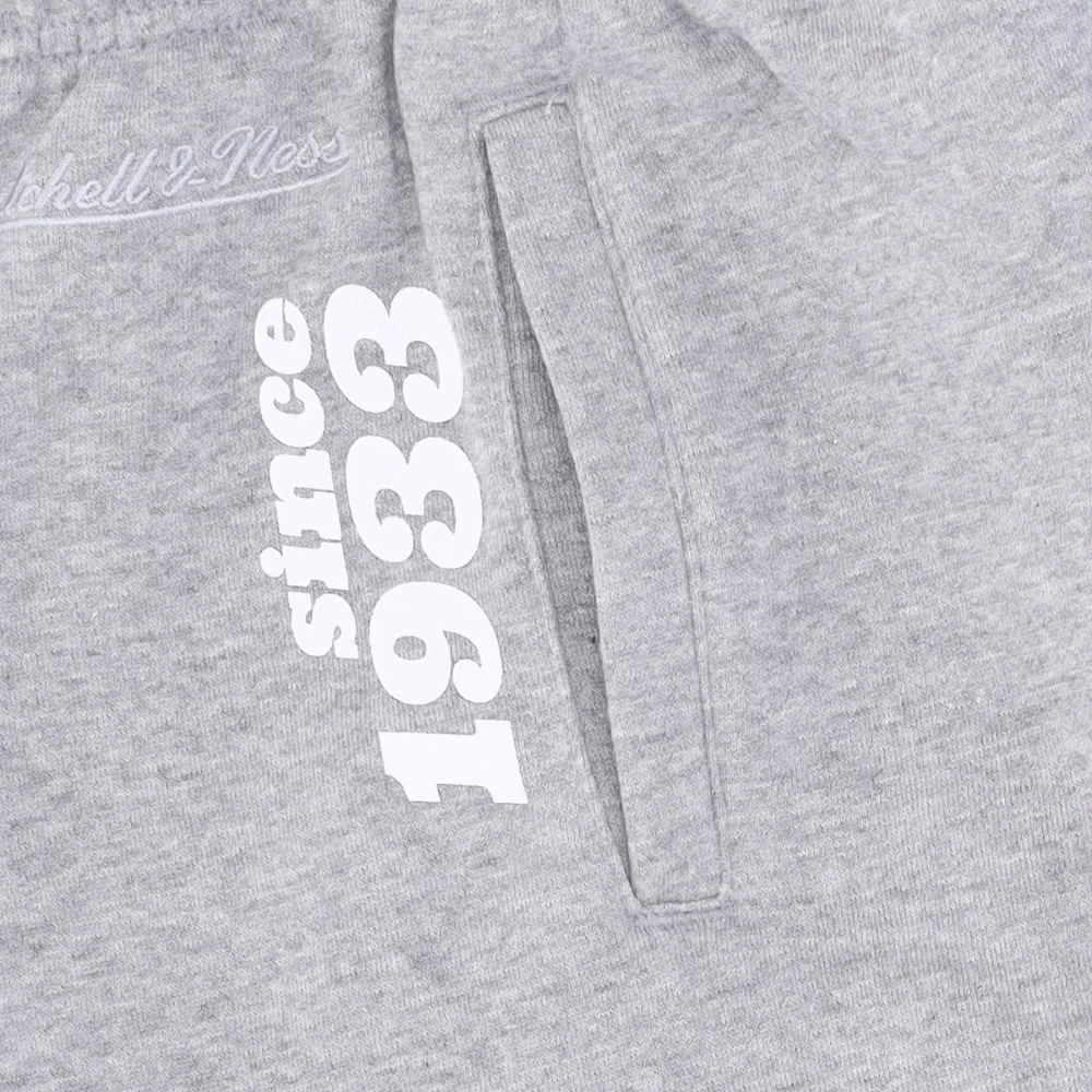 Mitchell & Ness Pittsburgh Steelers Fleece Trainingsbroek Gray Heren