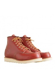 Ierse setter moc teen