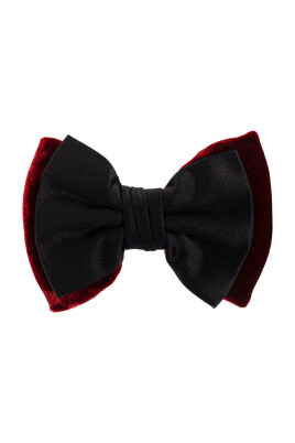 papillon-en-velours