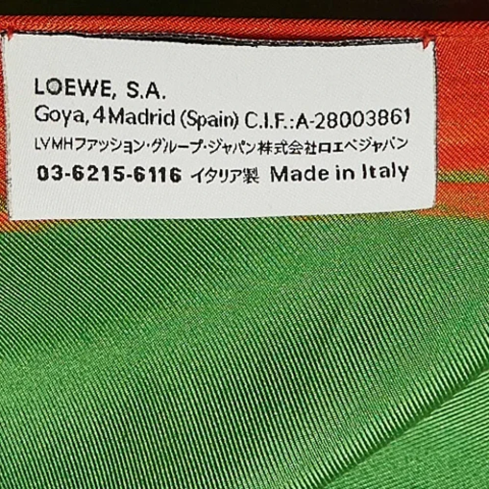 Loewe Pre-owned Silk scarves Green Dames