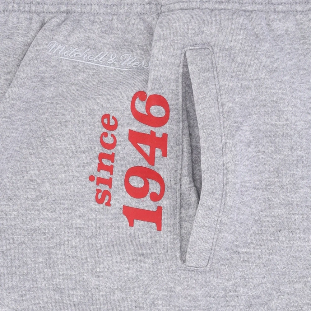 Mitchell & Ness NFL Team Origins Fleece Broek Gray Heren
