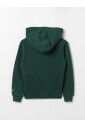 sweat-a-capuche-avec-application-de-singe