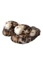 braun-tiger-flat-sandals-shoes