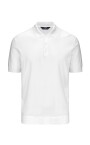 polo-pleyne