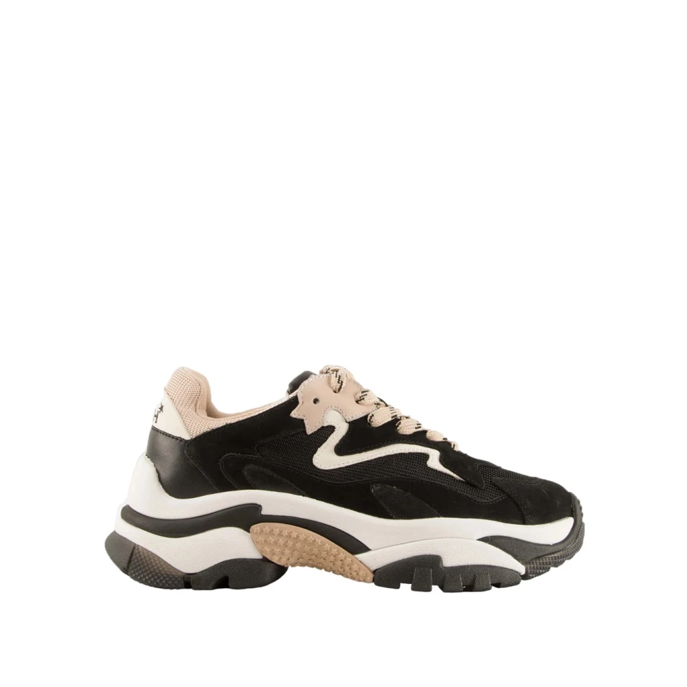 Shoes > Sneakers - - ASH - Modalova